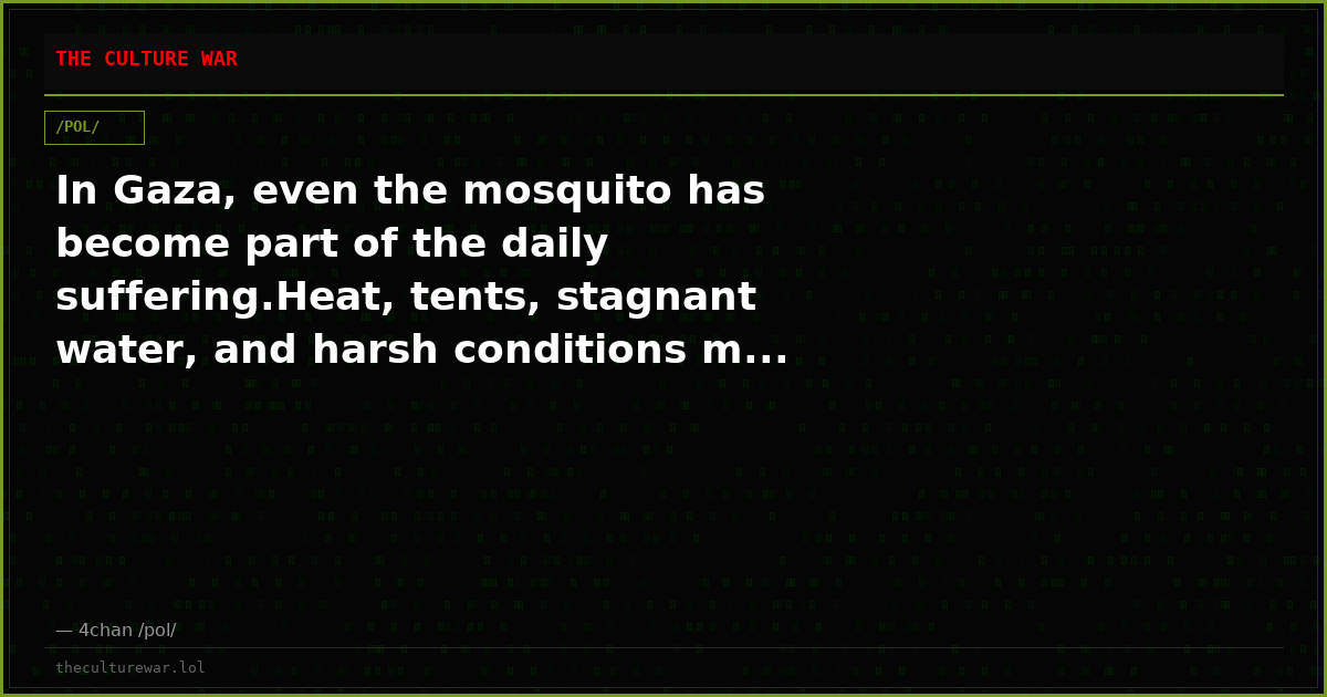 In Gaza, even the mosquito has become part of the daily suffering.Heat, tents, stagnant water, and harsh conditions m...
