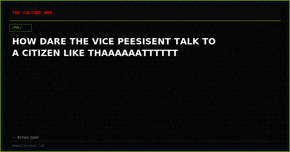 HOW DARE THE VICE PEESISENT TALK TO A CITIZEN LIKE THAAAAAATTTTTT