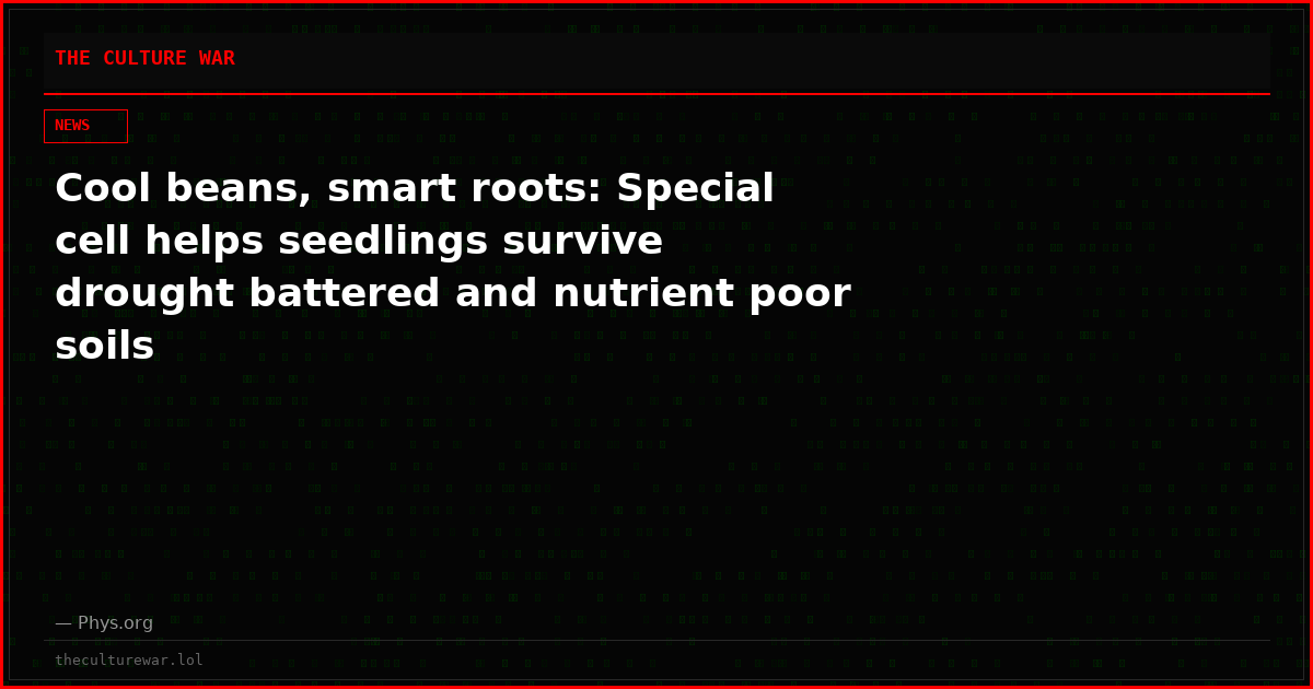 Cool beans, smart roots: Special cell helps seedlings survive drought battered and nutrient poor soils
