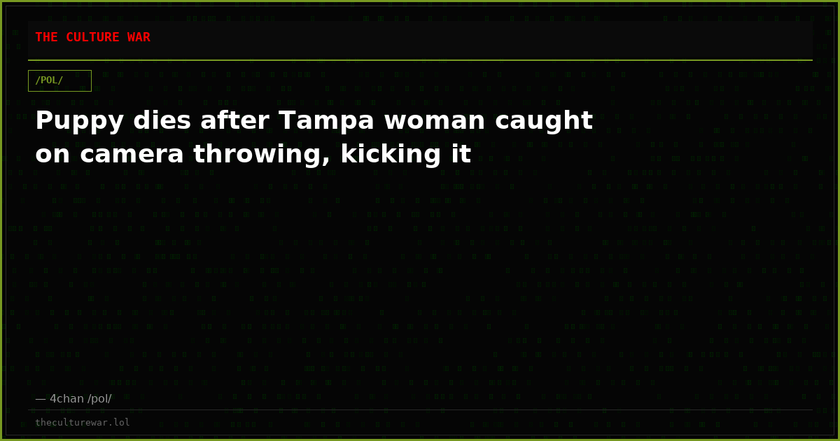 Puppy dies after Tampa woman caught on camera throwing, kicking it
