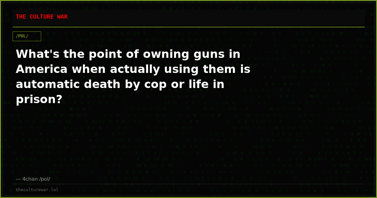What's the point of owning guns in America when actually using them is automatic death by cop or life in prison?