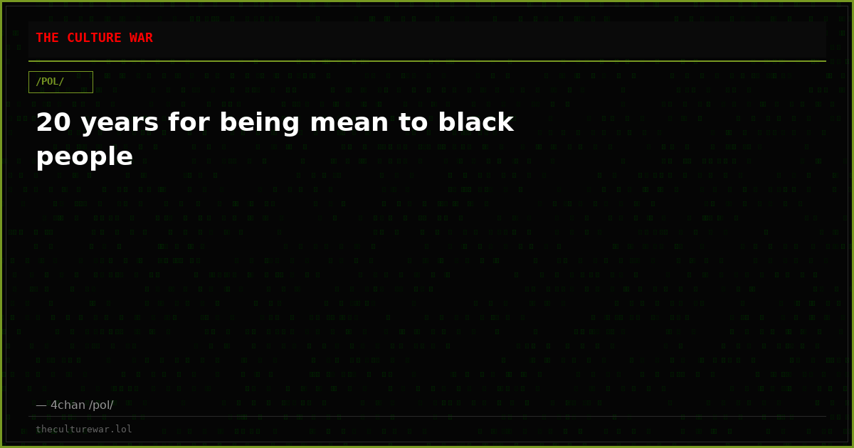 20 years for being mean to black people