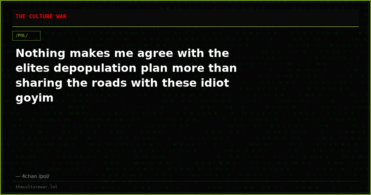 Nothing makes me agree with the elites depopulation plan more than sharing the roads with these idiot goyim