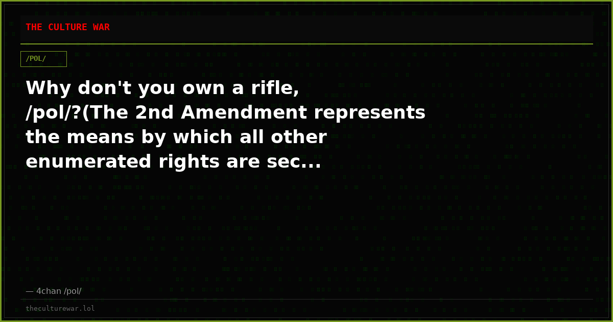 Why don't you own a rifle, /pol/?(The 2nd Amendment represents the means by which all other enumerated rights are sec...