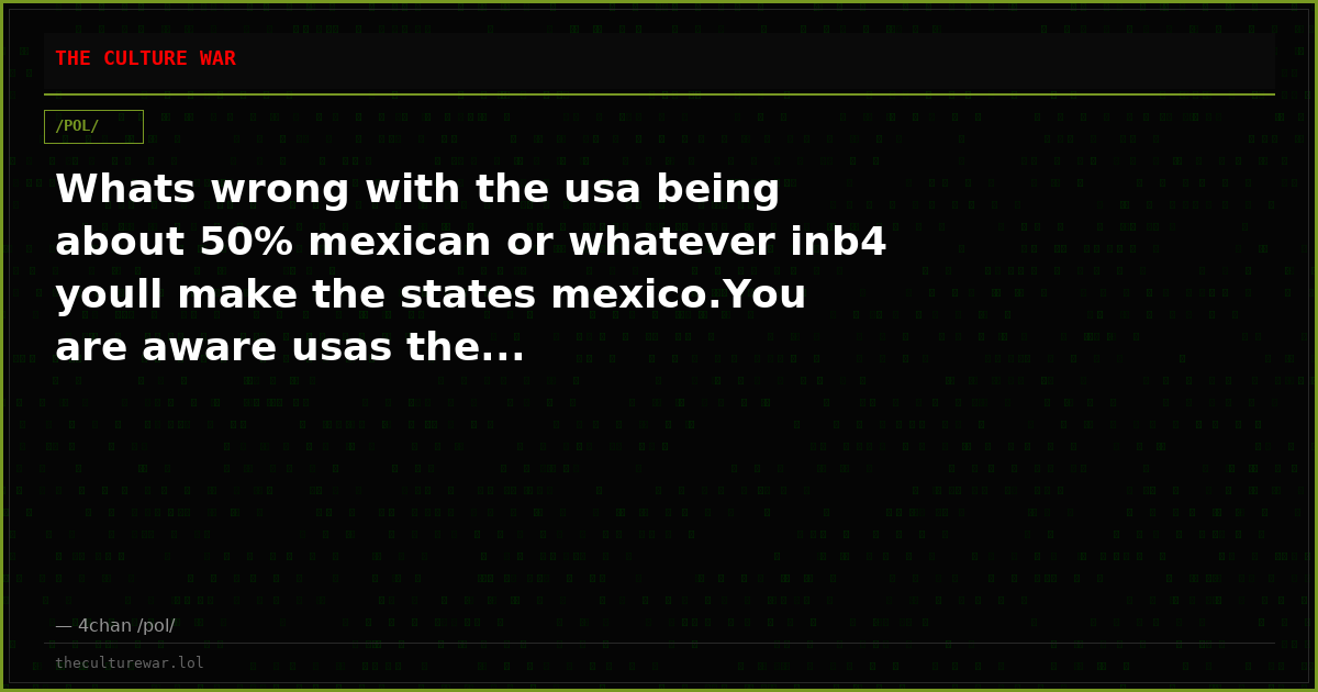 Whats wrong with the usa being about 50% mexican or whatever inb4 youll make the states mexico.You are aware usas the...