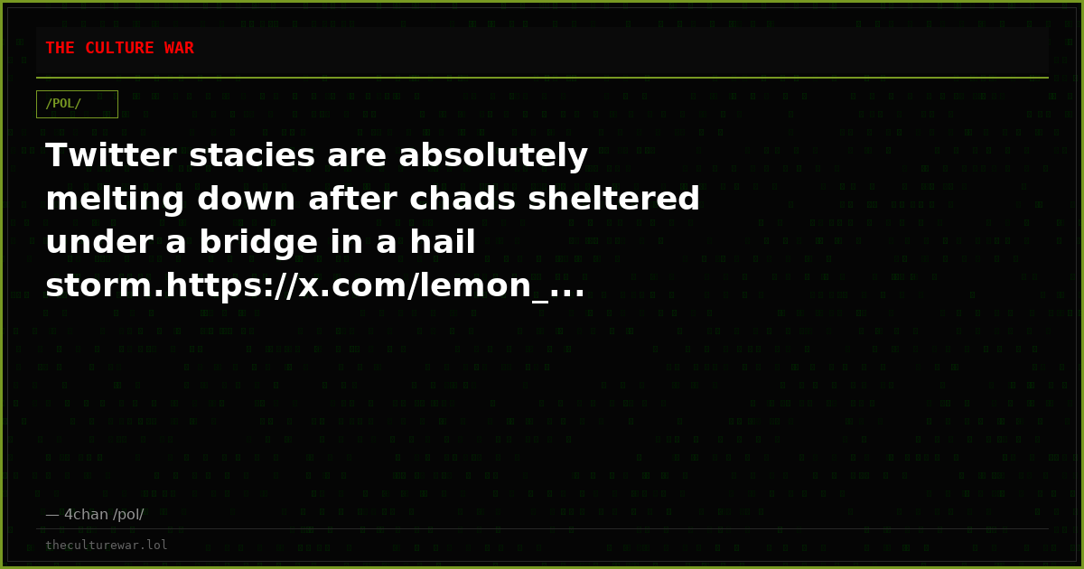 Twitter stacies are absolutely melting down after chads sheltered under a bridge in a hail storm.https://x.com/lemon_...
