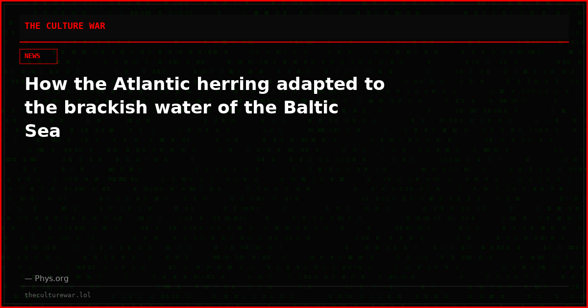 How the Atlantic herring adapted to the brackish water of the Baltic Sea