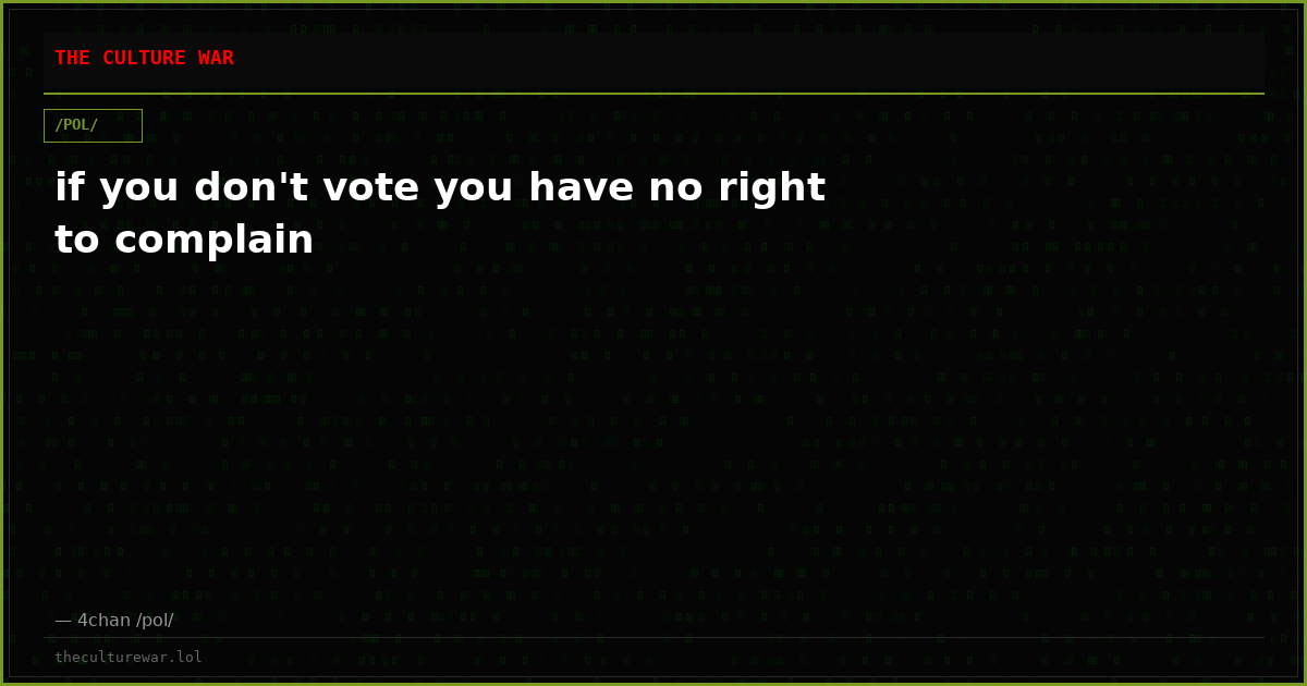 if you don't vote you have no right to complain