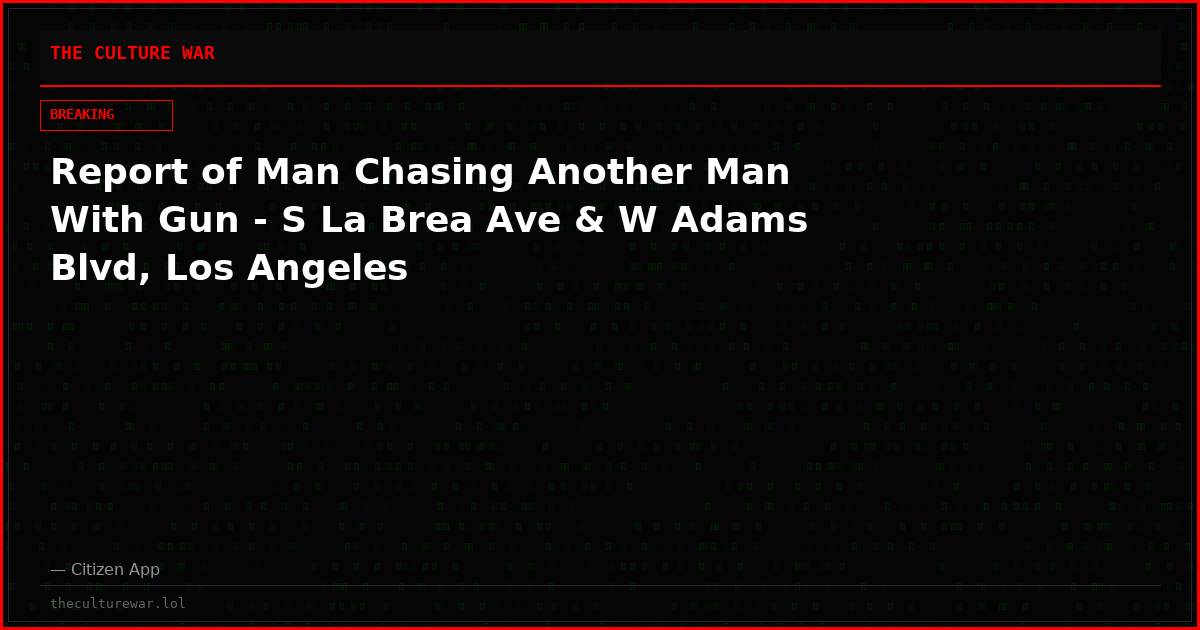 Report of Man Chasing Another Man With Gun - S La Brea Ave & W Adams Blvd, Los Angeles
