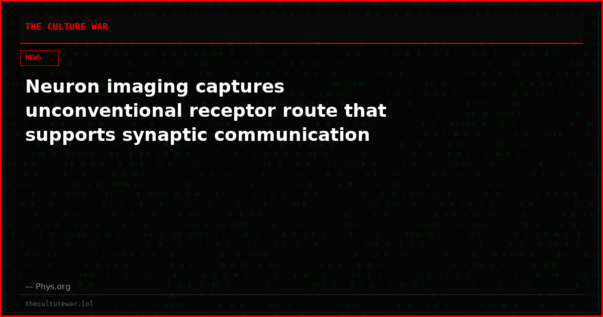 Neuron imaging captures unconventional receptor route that supports synaptic communication