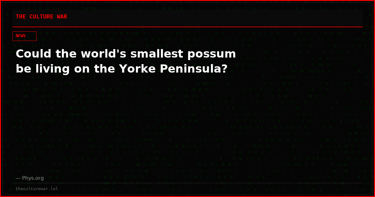Could the world's smallest possum be living on the Yorke Peninsula?