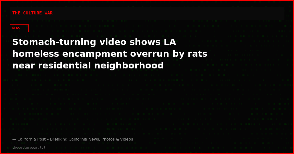 Stomach-turning video shows LA homeless encampment overrun by rats near residential neighborhood