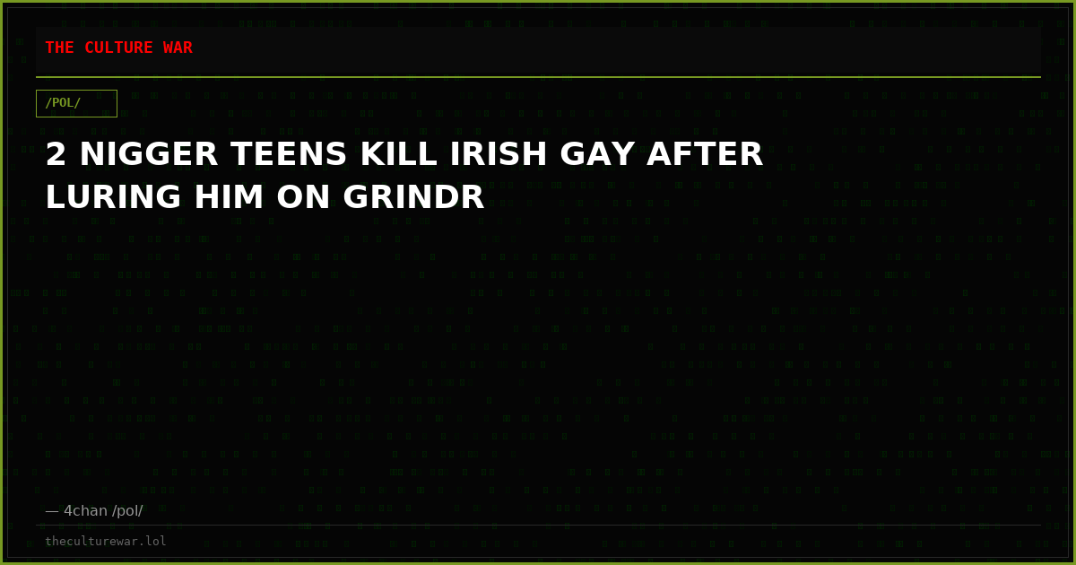 2 NIGGER TEENS KILL IRISH GAY AFTER LURING HIM ON GRINDR