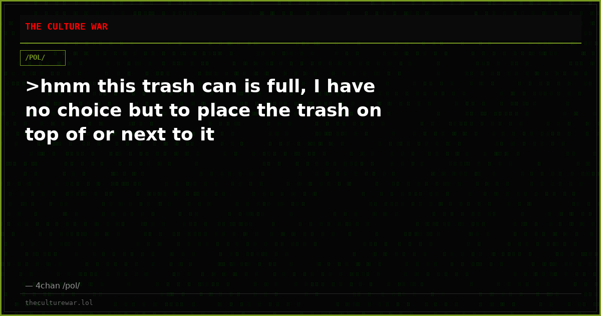 >hmm this trash can is full, I have no choice but to place the trash on top of or next to it