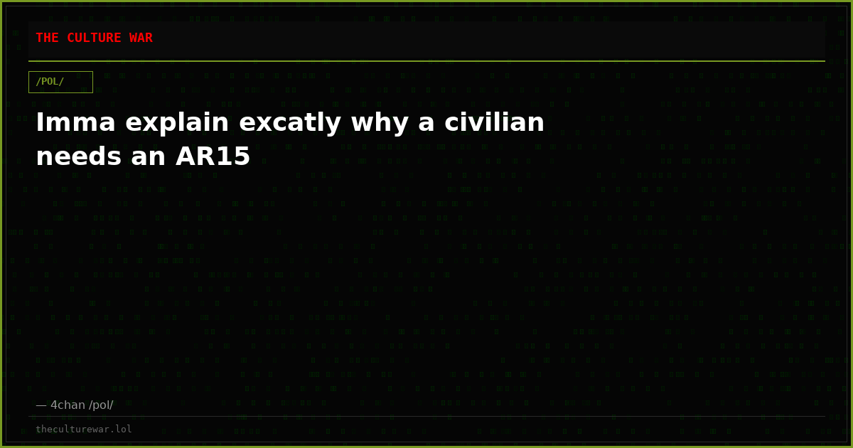 Imma explain excatly why a civilian needs an AR15