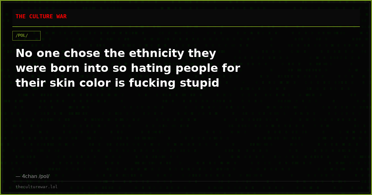 No one chose the ethnicity they were born into so hating people for their skin color is fucking stupid