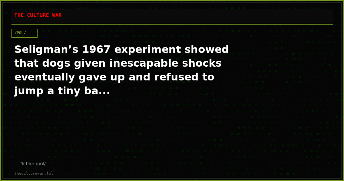 Seligman’s 1967 experiment showed that dogs given inescapable shocks eventually gave up and refused to jump a tiny ba...