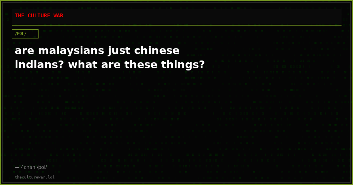 are malaysians just chinese indians? what are these things?