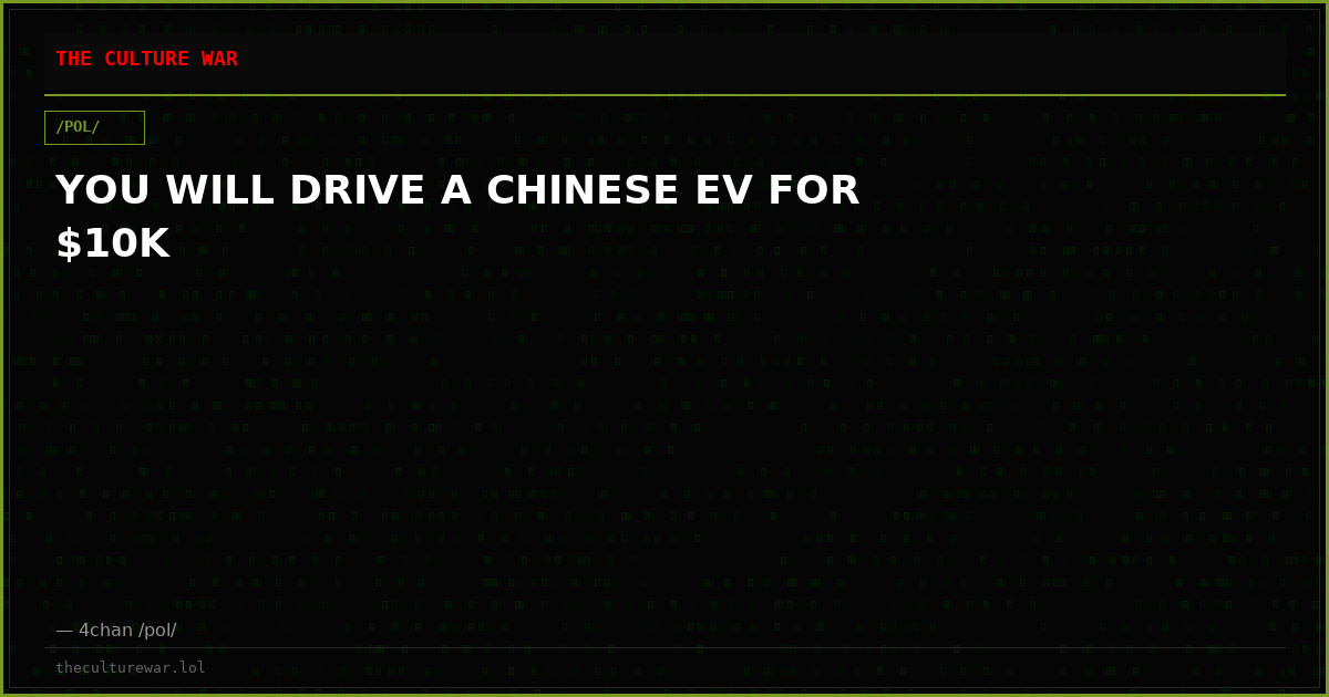 YOU WILL DRIVE A CHINESE EV FOR $10K