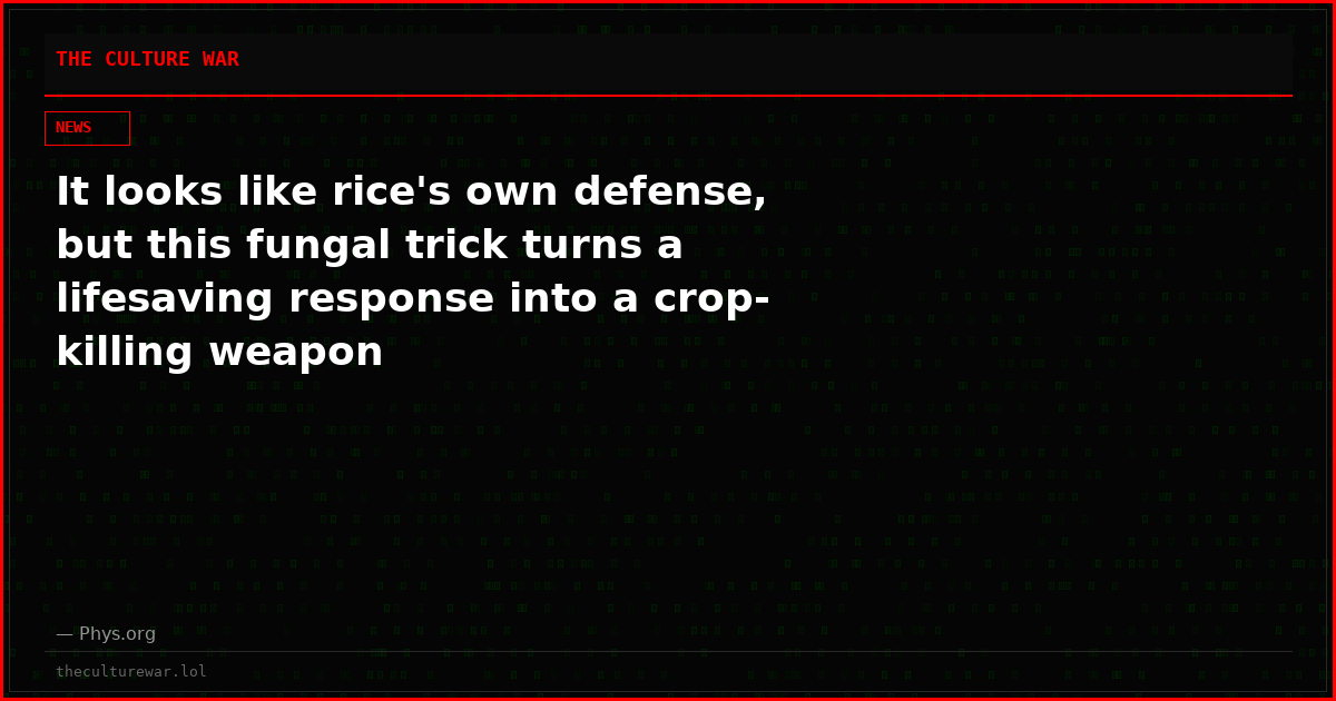 It looks like rice's own defense, but this fungal trick turns a lifesaving response into a crop-killing weapon