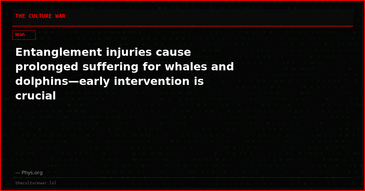 Entanglement injuries cause prolonged suffering for whales and dolphins—early intervention is crucial
