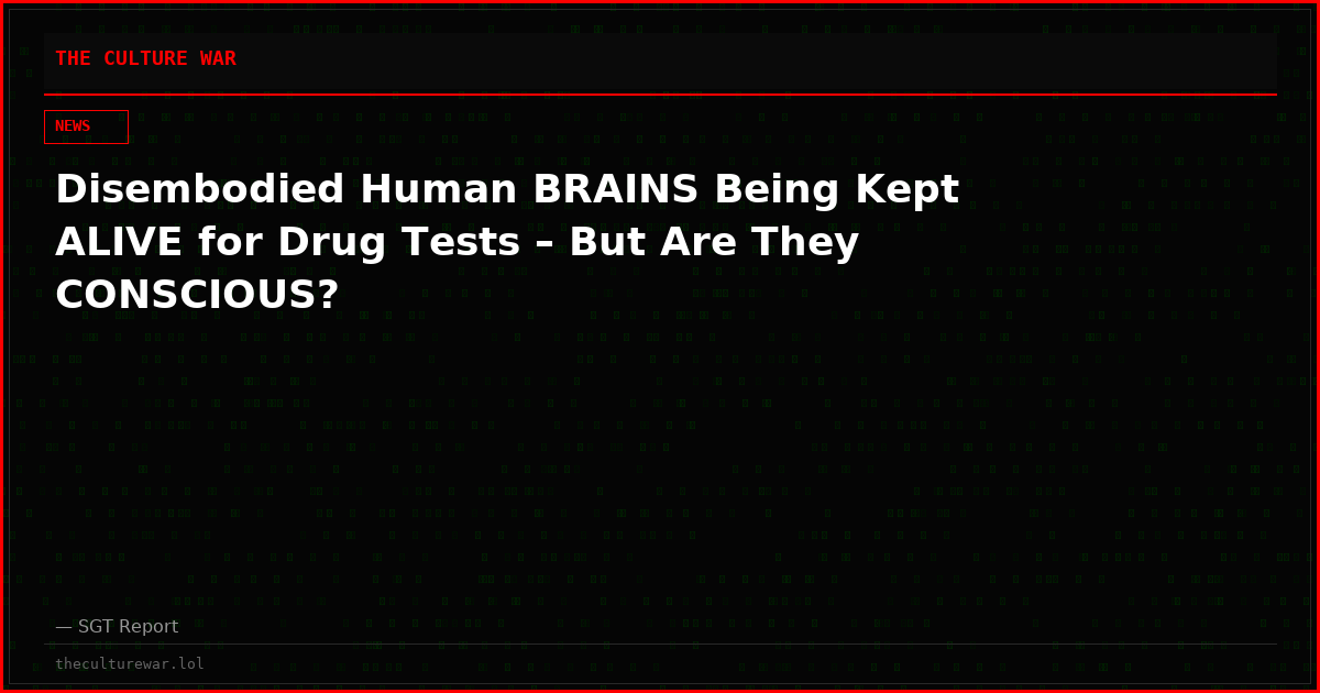 Disembodied Human BRAINS Being Kept ALIVE for Drug Tests – But Are They CONSCIOUS?