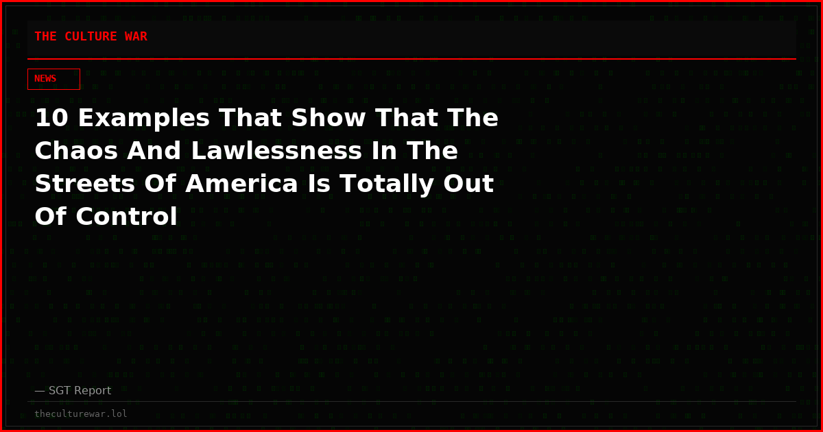 10 Examples That Show That The Chaos And Lawlessness In The Streets Of America Is Totally Out Of Control