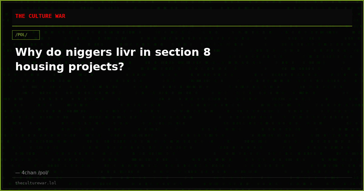 Why do niggers livr in section 8 housing projects?