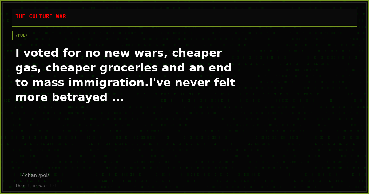 I voted for no new wars, cheaper gas, cheaper groceries and an end to mass immigration.I've never felt more betrayed ...
