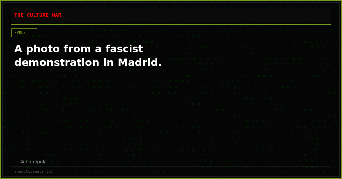 A photo from a fascist demonstration in Madrid.