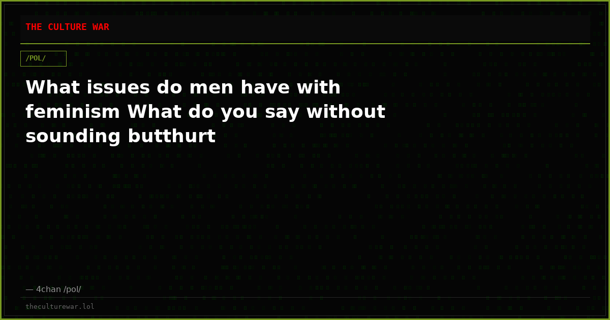 What issues do men have with feminism What do you say without sounding butthurt