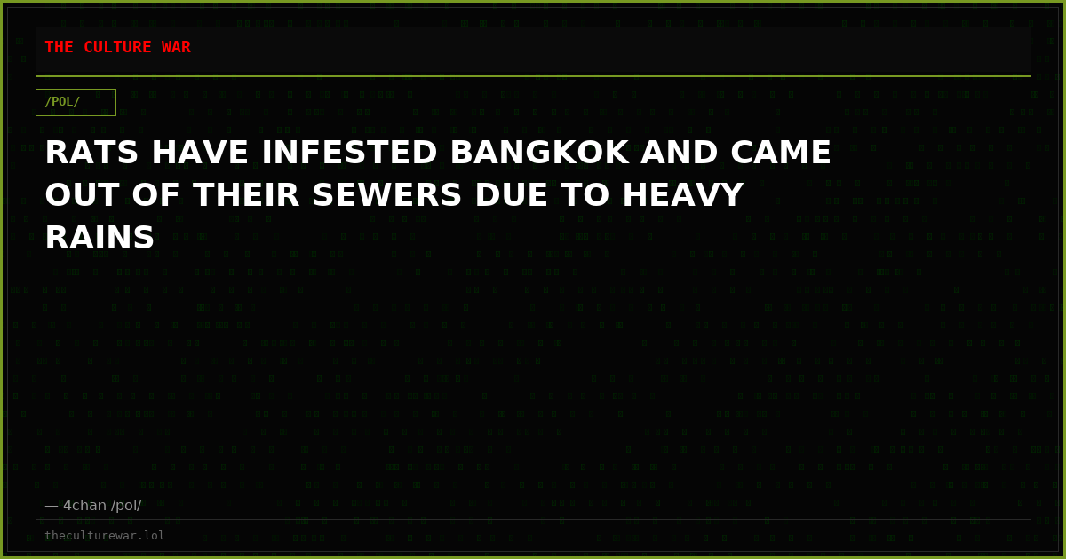 RATS HAVE INFESTED BANGKOK AND CAME OUT OF THEIR SEWERS DUE TO HEAVY RAINS