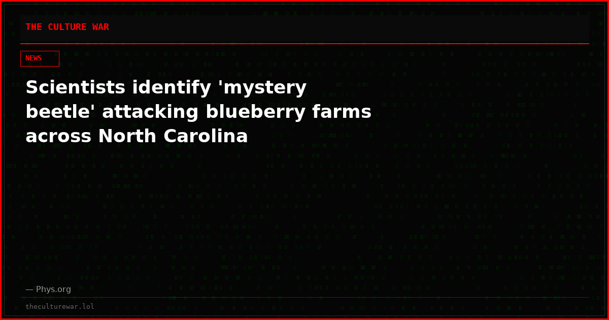 Scientists identify 'mystery beetle' attacking blueberry farms across North Carolina