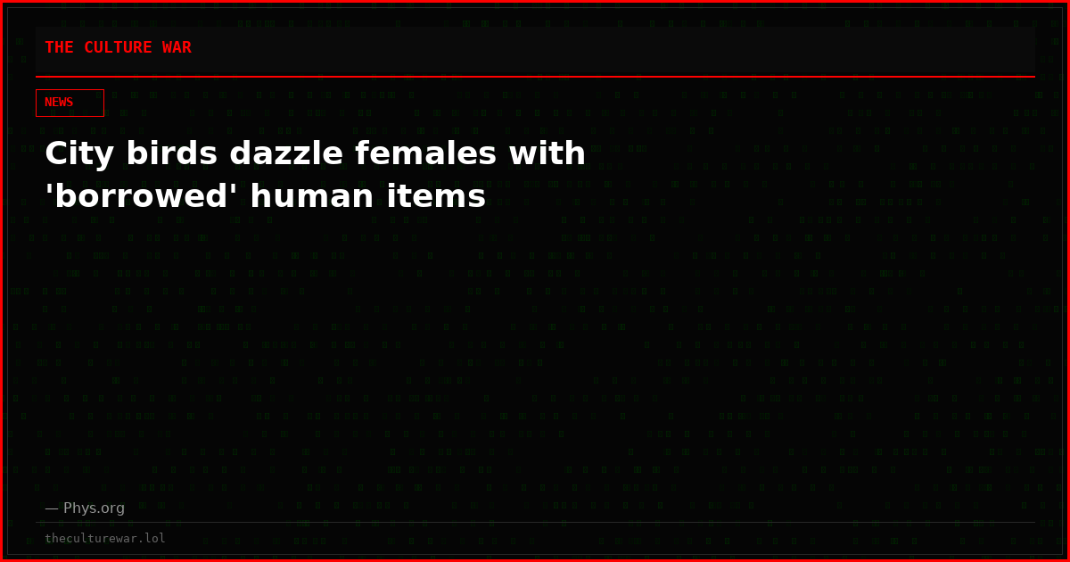 City birds dazzle females with 'borrowed' human items