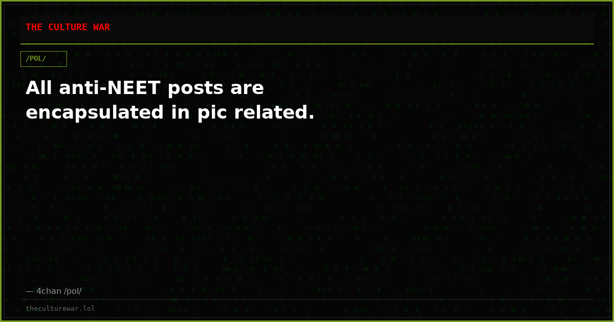 All anti-NEET posts are encapsulated in pic related.