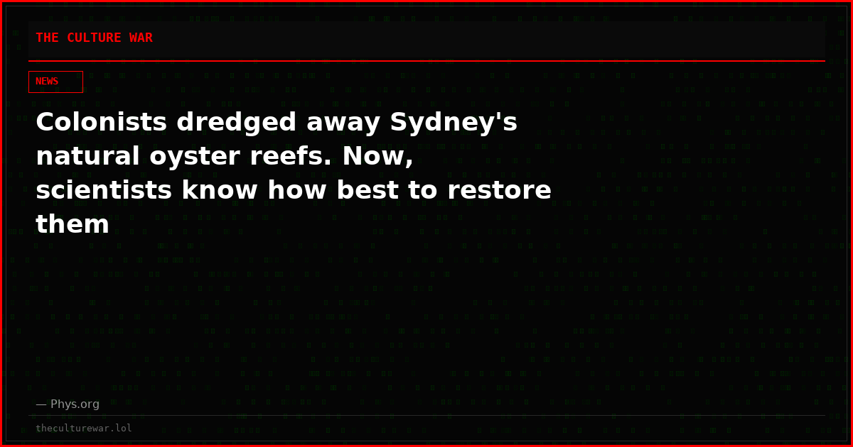 Colonists dredged away Sydney's natural oyster reefs. Now, scientists know how best to restore them