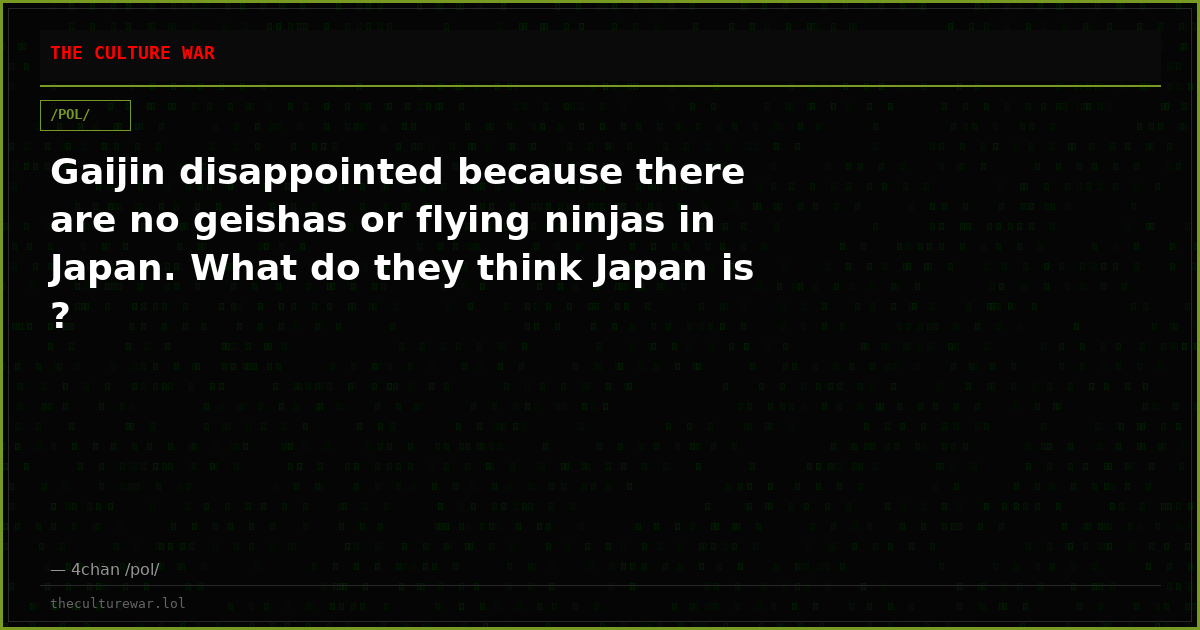 Gaijin disappointed because there are no geishas or flying ninjas in Japan. What do they think Japan is ?