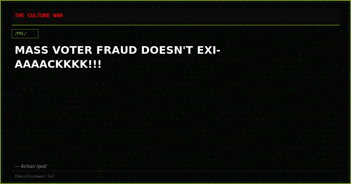 MASS VOTER FRAUD DOESN'T EXI-AAAACKKKK!!!