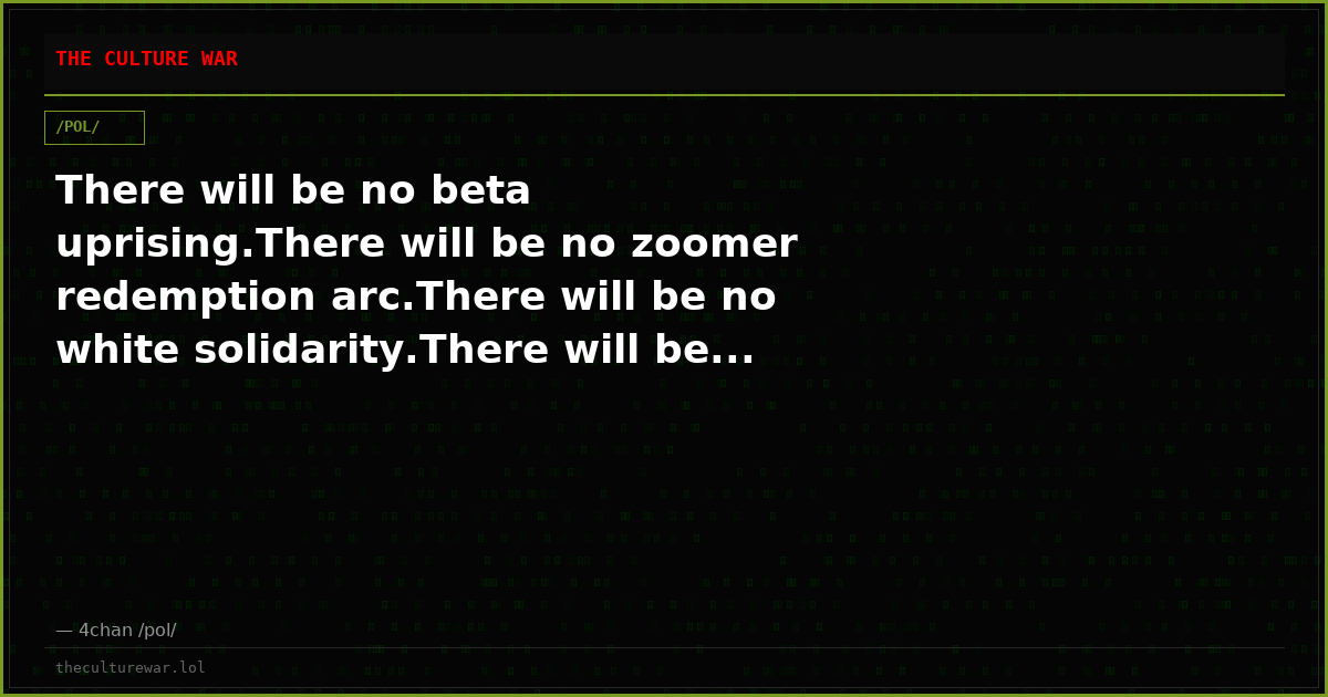 There will be no beta uprising.There will be no zoomer redemption arc.There will be no white solidarity.There will be...