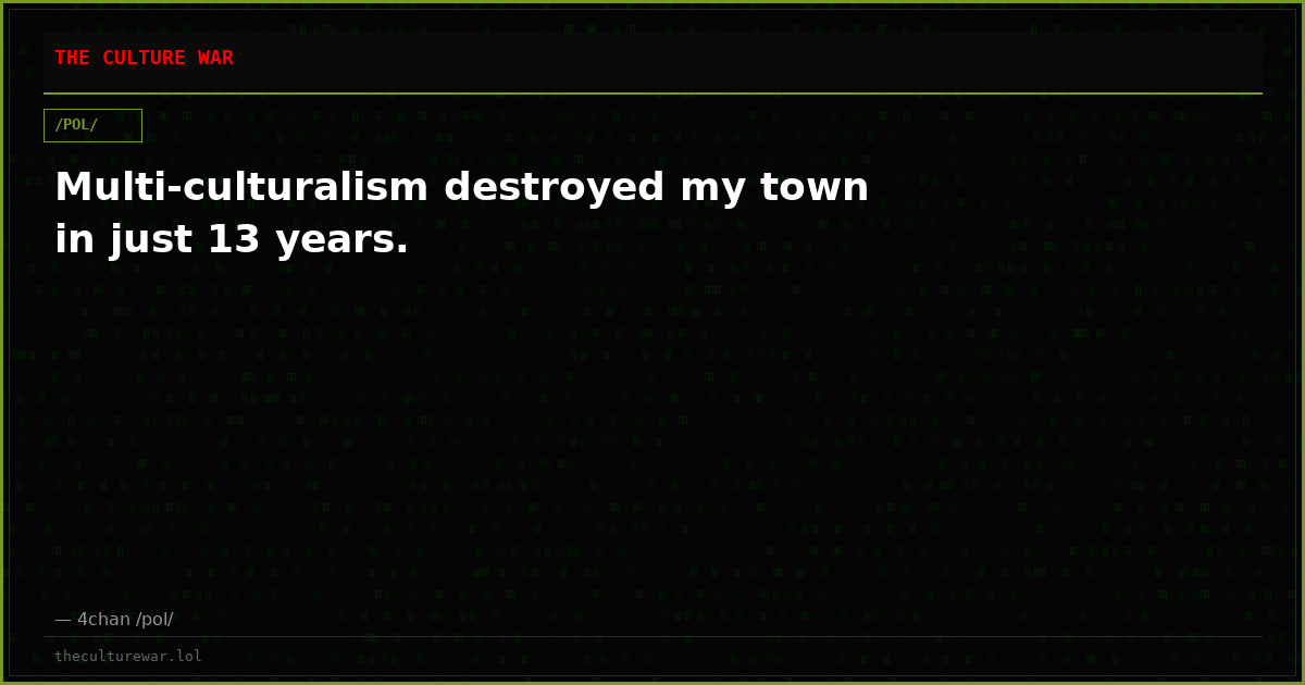 Multi-culturalism destroyed my town in just 13 years.