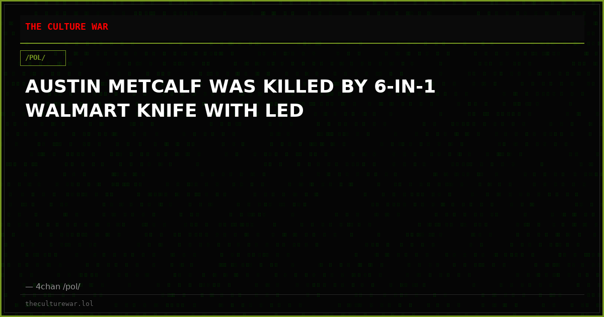 AUSTIN METCALF WAS KILLED BY 6-IN-1 WALMART KNIFE WITH LED