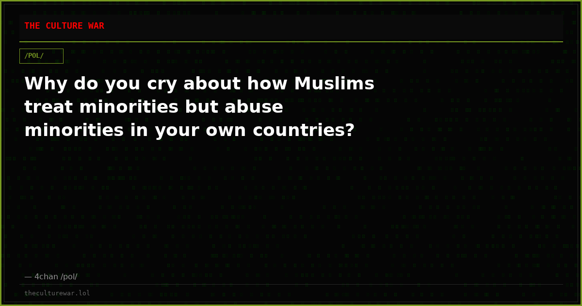 Why do you cry about how Muslims treat minorities but abuse minorities in your own countries?