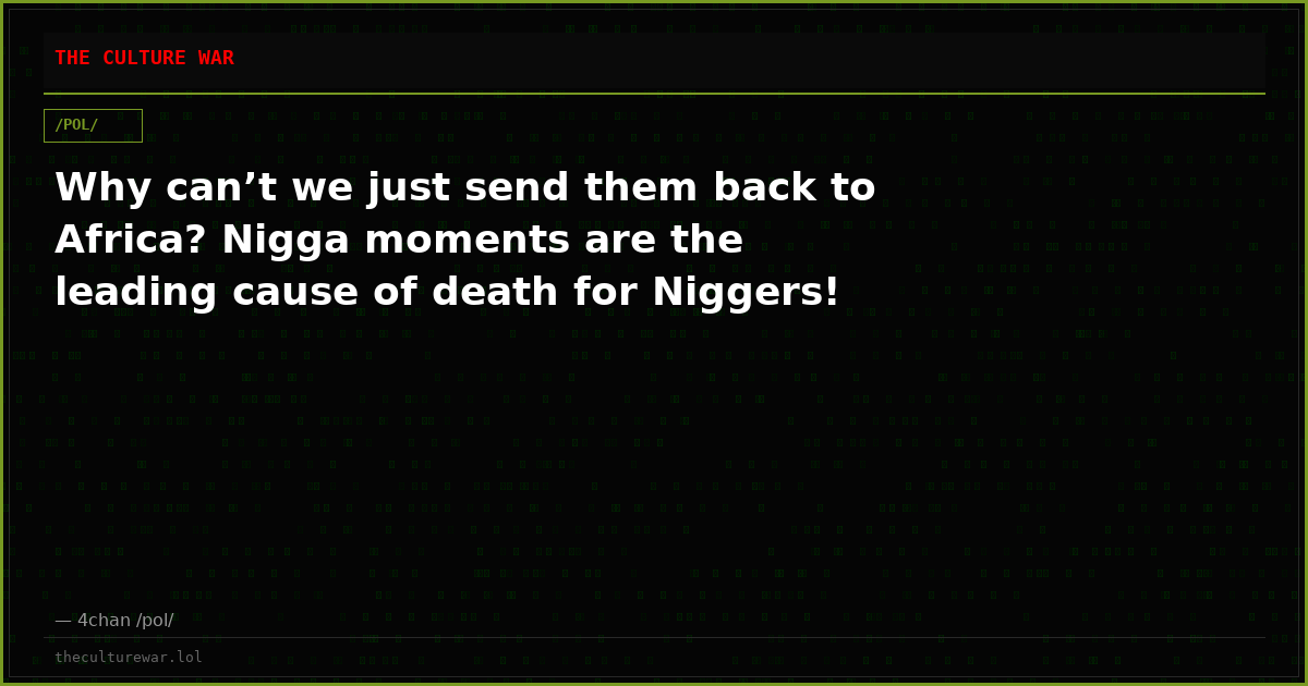 Why can’t we just send them back to Africa? Nigga moments are the leading cause of death for Niggers!