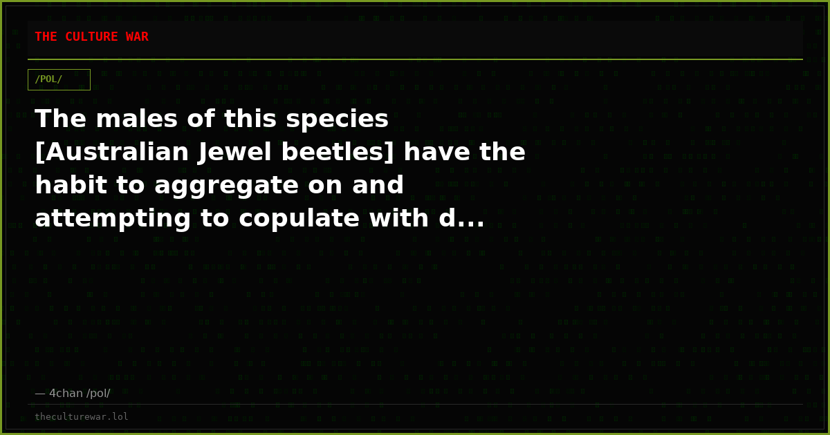 The males of this species [Australian Jewel beetles] have the habit to aggregate on and attempting to copulate with d...