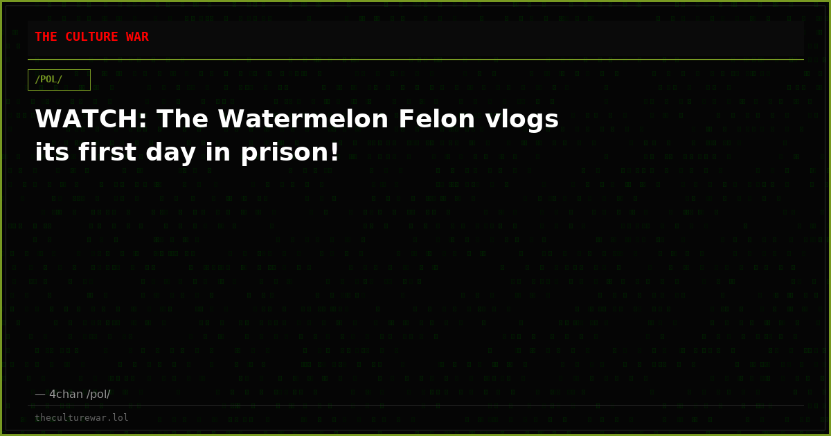 WATCH: The Watermelon Felon vlogs its first day in prison!