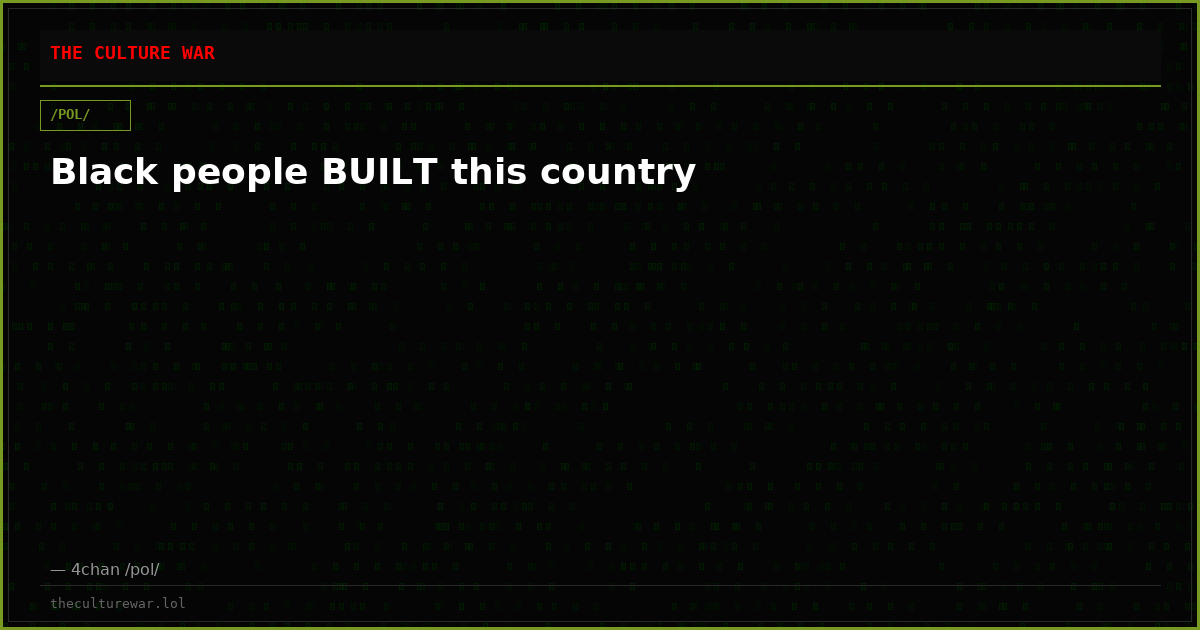 Black people BUILT this country