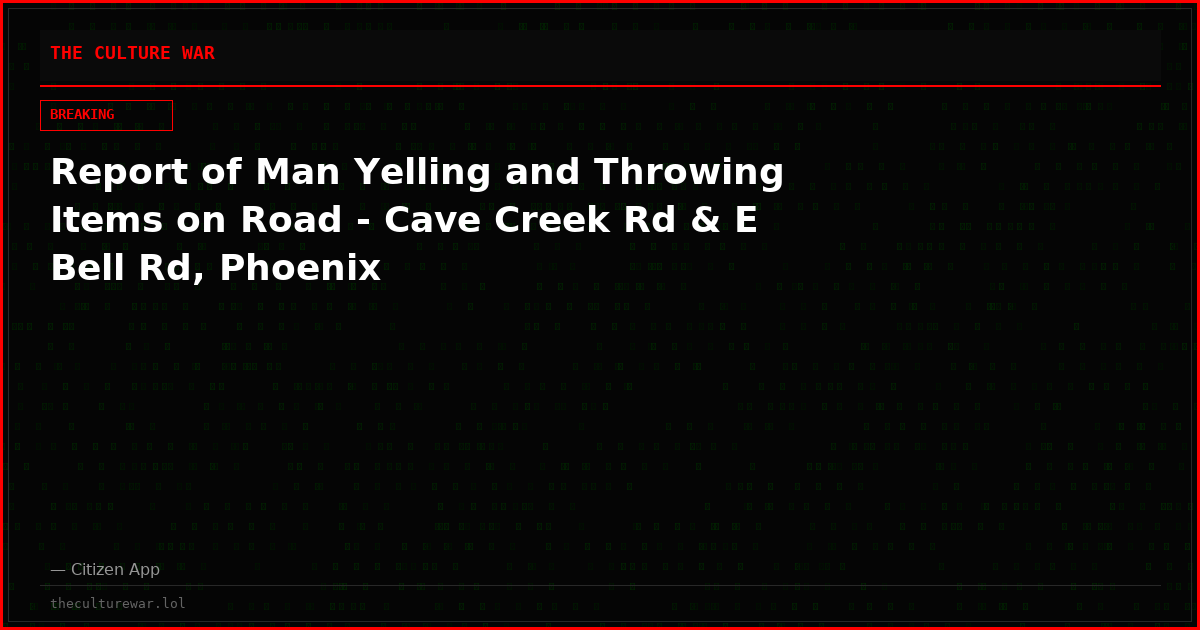 Report of Man Yelling and Throwing Items on Road - Cave Creek Rd & E Bell Rd, Phoenix