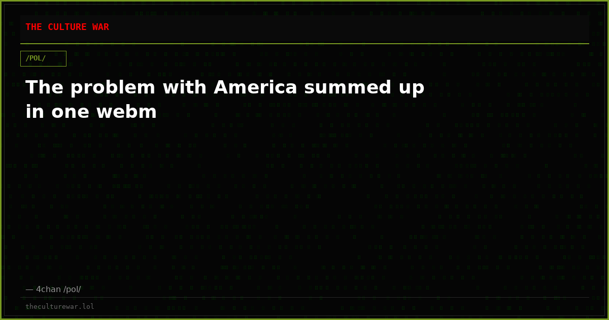 The problem with America summed up in one webm