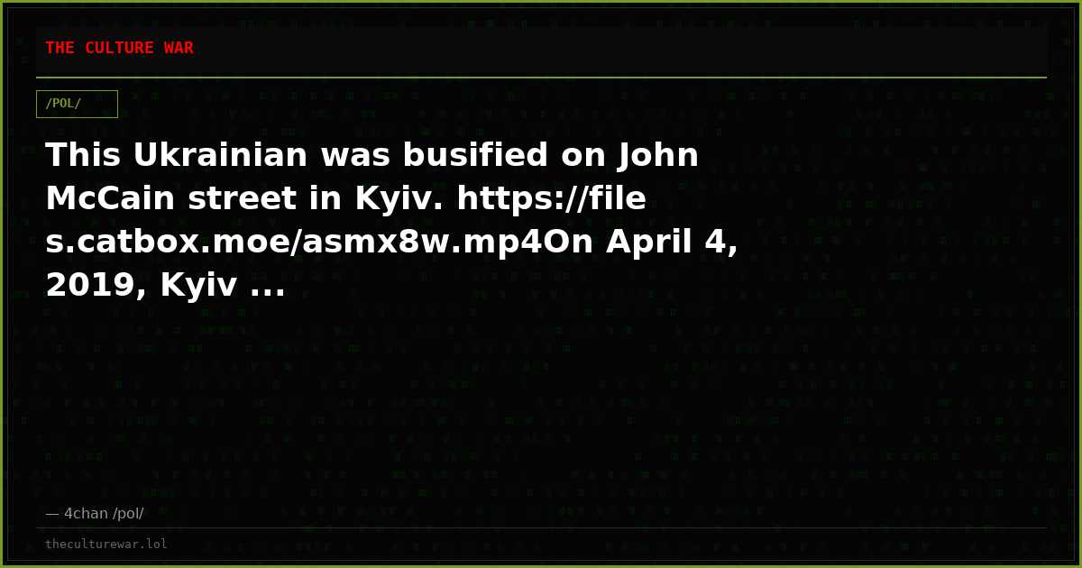This Ukrainian was busified on John McCain street in Kyiv. https://files.catbox.moe/asmx8w.mp4On April 4, 2019, Kyiv ...