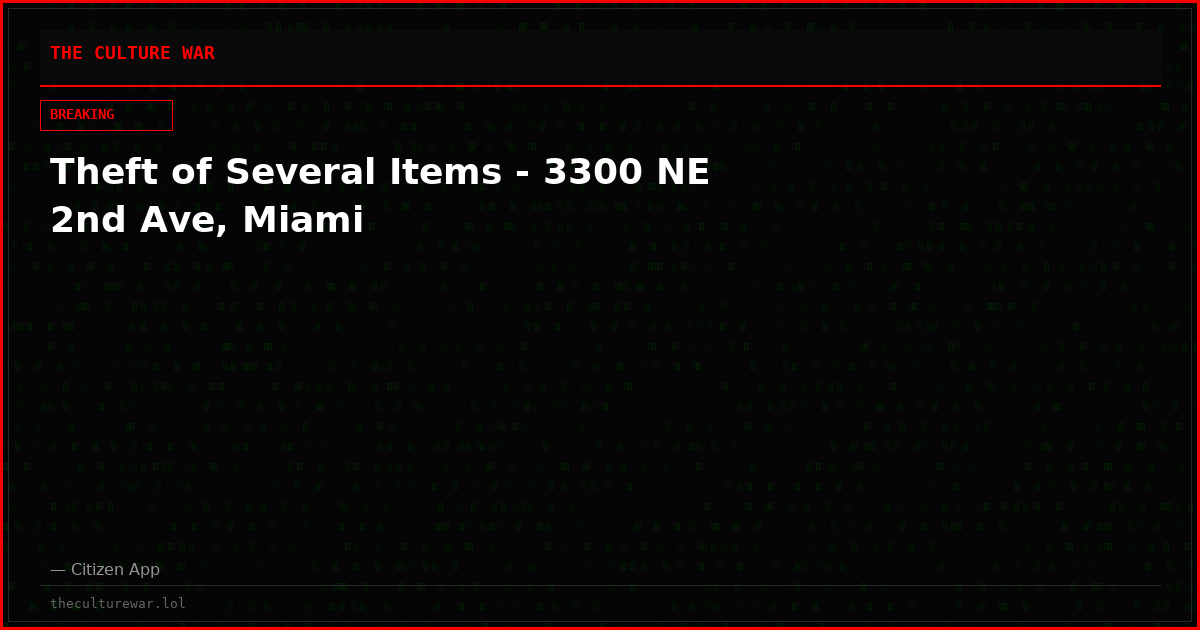 Theft of Several Items - 3300 NE 2nd Ave, Miami
